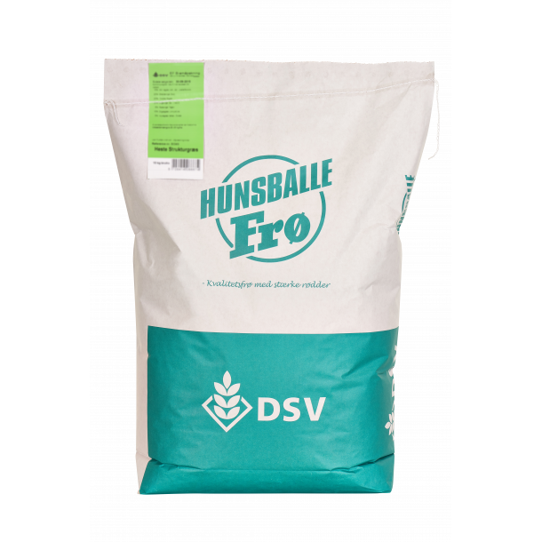 Grsfr - Hunsballe Njsom Svingel-Blanding - 10 KG Euro-Grass